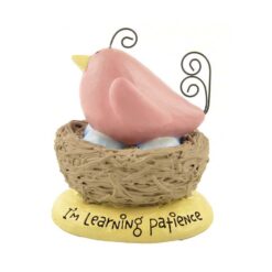 151-89361 'LEARNING PATIENCE' BIRD ON NEST