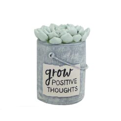 191-11713 "POSITVE THOUGHTS" SUCCULENT IN CONTAINER