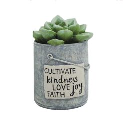 191-11714 CULTIVATE KINDNESS SUCCULENT IN CONTAINER