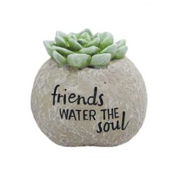 191-11718 FRIENDS WATER THE SOUL BOULDER WITH SUCCULENT