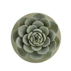 191-12130 Succulent candle topper