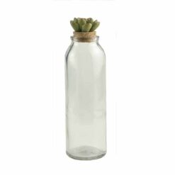 191-12131 Succulent  topper w/jar