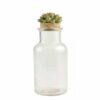 191-12132 Large succulent  topper w/jar