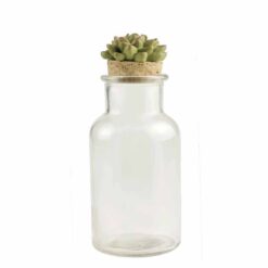 191-12132 Large succulent  topper w/jar