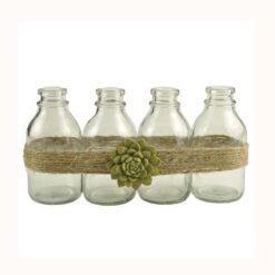 191-12216 2"H 2D  succulent w/glass jar