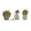 191-12222 S/3 succulent in pot orn w jute