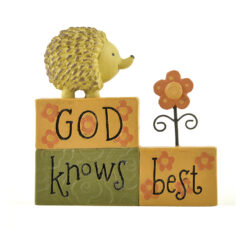 1566-89769 'GOD KNOWS BEST' STACKED BLOCKS W/HEDGEHOG (M4)