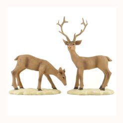 158-89512 S/2 BUCK/DOE DEER