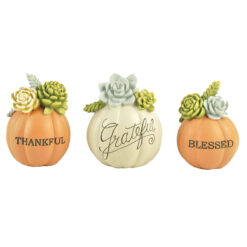186-11796 S/3 Pumpkins and Succulents