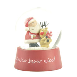 188-11867 "YOU'RE SNOW NICE" SNOW GLOBE 