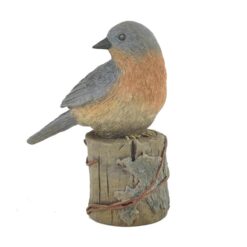 141-87779 BLUEBIRD ON TREE BRANCH