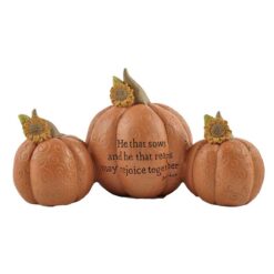146-88867 'HE THAT SOWS/REAPS' PUMPKINS