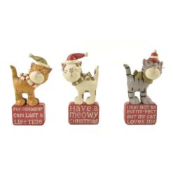 148-88724 S/2 CATS W/SCARVES/HATS ON BLOCK