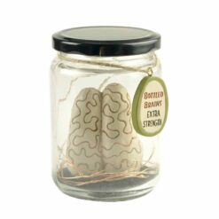 196-12239 brains in in glass jar w LED fairy light