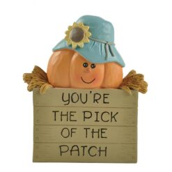 206-12983 Pumpkin w/hat in crate w/straw