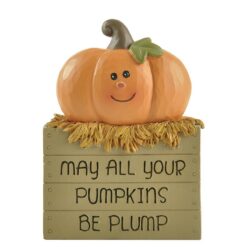206-12989 Pumpkin down in crate w/straw