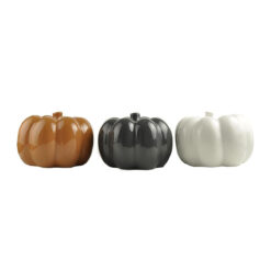 206-60265 CERAMIC PUMPKIN, MEDIUM - 3 ASST.