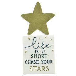 211-12952 Gold star on block-life