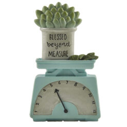 211-13050 "BLESSED BEYOND MEASURE" PLANT ON SCALE