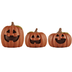 236-13705 S/3 Pumpkins