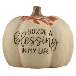 236-13756 "YOU'RE A BLESSING IN MY LIFE" White Pumpkin