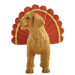 236-13842 Dog with Turkey Feathers
