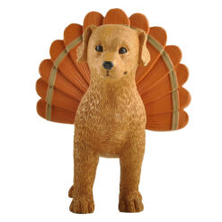 236-13843 BROWN DOG W/THANKSGIVING TURKEY COSTUME