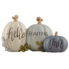 236-13848 Three Pumpkins-hello BEAUTIFUL Fall