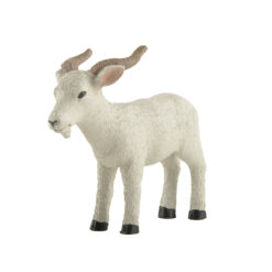 241-13949 Goat