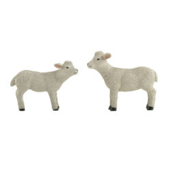 241-13950 Set of 2 Lambs