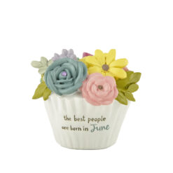 241-14092 June - Cupcake Birthstone