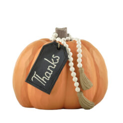 246-13982 Pumpkins w/beads-Thanks