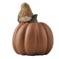 246-14199 Bird on pumpkin