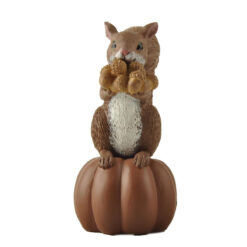 246-14200 SQUIRREL ON PUMPKIN
