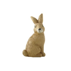 248-14227 Sitting little rabbit