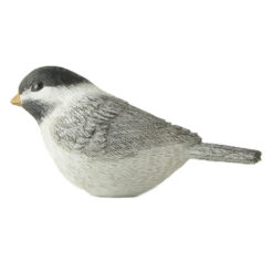 248-14232 Carolina chickadee