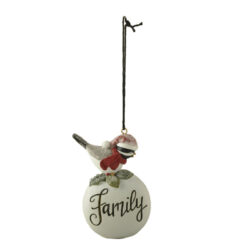 248-52172 ORN-bird on ball-Family