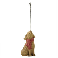 248-52189 ORN-Head up sitting dog