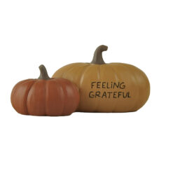 256-14340 Large & small pumpkins-FEELiNG GRATEFUL