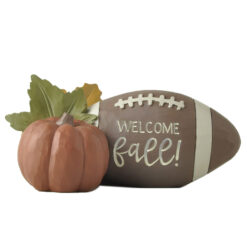 256-14312 Pumpkin w/football