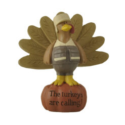 256-14530 Turkey standing on pumpkin