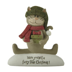 258-14426 Cat & gift box on base