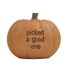 266-14679 2.5" H Pumpkin-picked a…