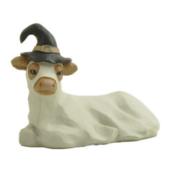 266-14824 Sitting highland cattle baby cow